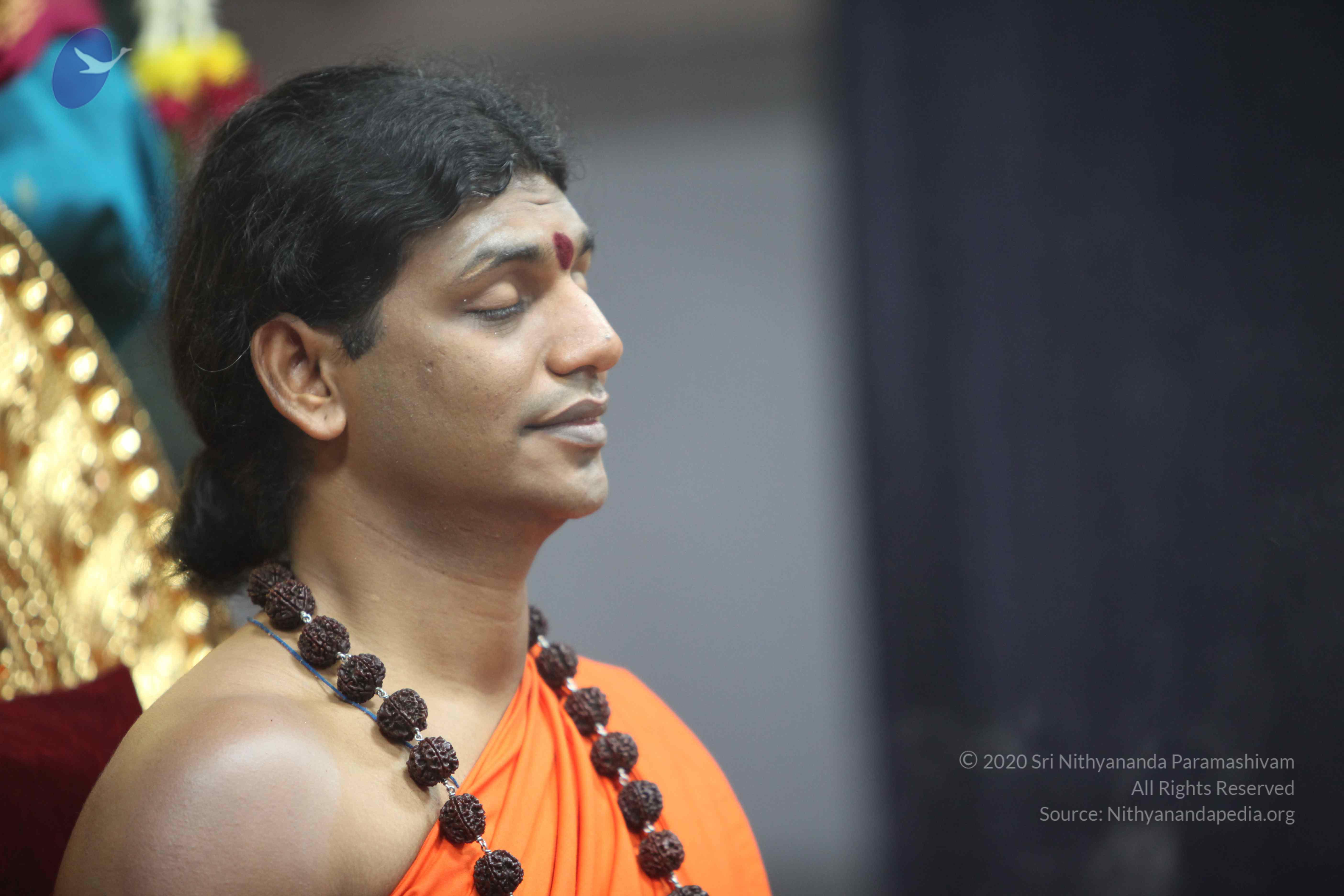 20101119_Photo_1050_IMG_8950 - Copy_CMP_WM